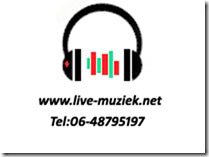 Bezoek Drive-In Show & BruiloftBands